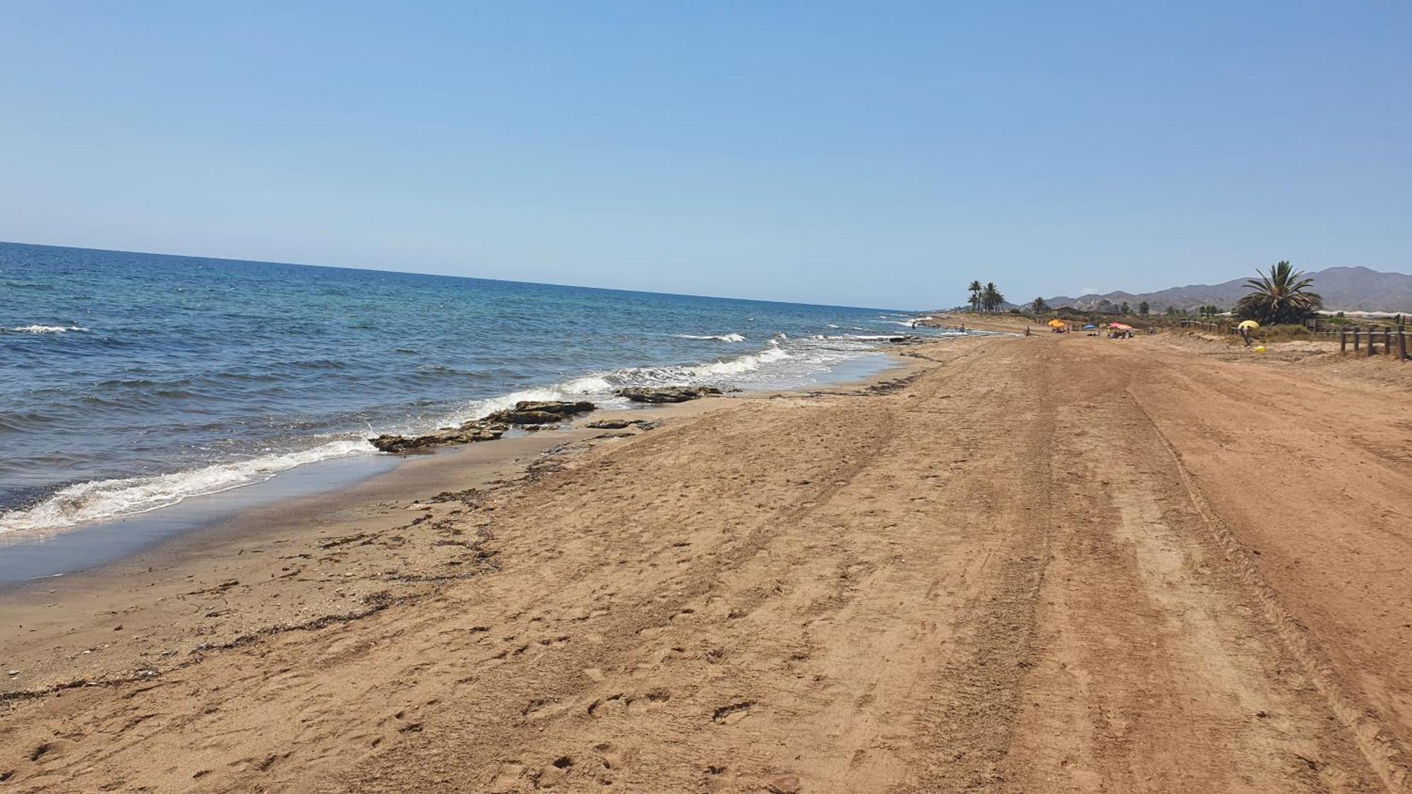 Casanova En Terreros *